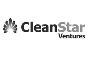 clean-star